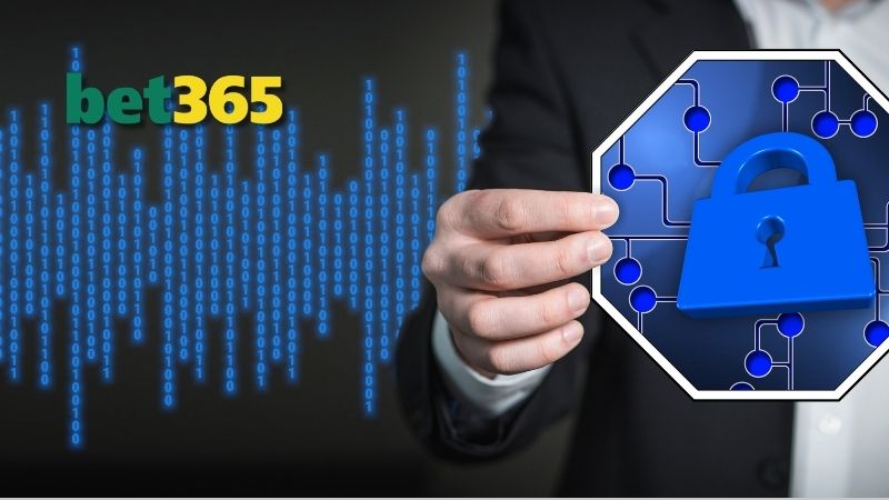 Quyền lợi và nghĩa vụ nhà cái