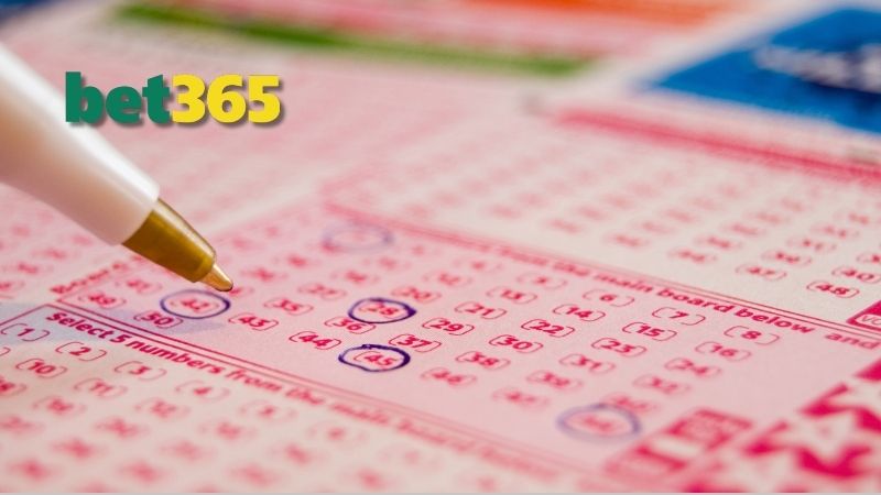 mo-thay-rong-danh-de-con-gi