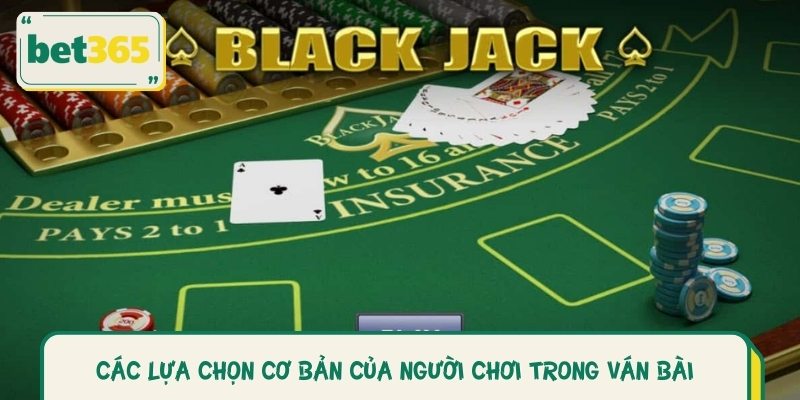 Hướng dẫn chi tiết luật chơi bài xì dách cho người mới