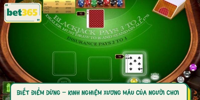 Mẹo hay để trở thành chuyên gia trong Blackjack