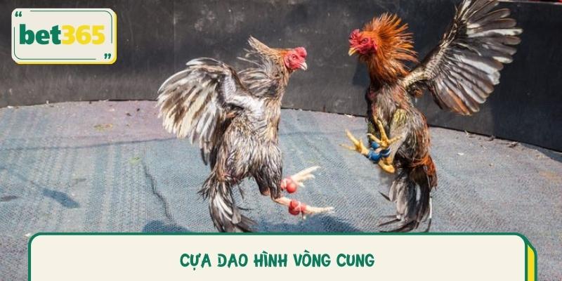 Cựa Dao Hình Vòng Cung