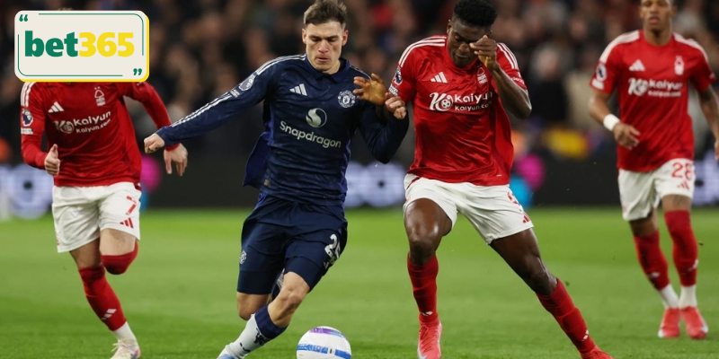 Giới thiệu tổng quan về Thể thao 8live